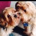 Roxanne Napier - Facebook