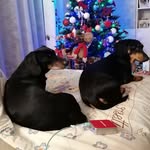 Roxanne - @roxanne_otto_zoe - Instagram