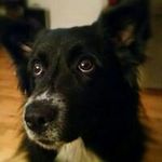 Roxanne Pettit Walker - @roxannepettitwalker - Instagram