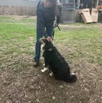 Roxanne Pickering - Facebook
