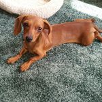 roxanne plummer - @rockie.plum.60 - Instagram