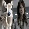 roxy - @roxannesitpost - TikTok