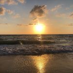 Book reviews/synopsis - @roxanne.reads.books - Instagram