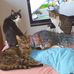 Roxanne Roxy Richter - Facebook