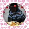 Roxanne Remondelli - @roxanneremondelli - TikTok