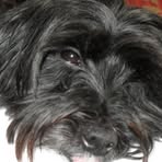 Roxy Renfro - Facebook