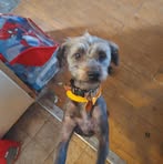 Roxanne Rhodes - Facebook
