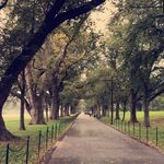 Roxanne Richardson - @roxannerichardson728 - Instagram