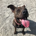 Roxanne Richer - @bettypupperton - Instagram