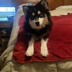 Roxanne Baker Ritter - @roxanneritter - Instagram