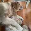 Roxanne Ritter660 - @roxanneritter71 - TikTok