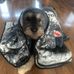 Roxanne Rochon - Facebook