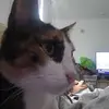 Roxanne Rojas - @roxanne.rojas6 - TikTok