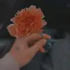 Roxanne Roy - @roxanneroy - TikTok