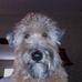 Roxy Royster - Facebook
