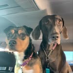 Ruby & Roxanne - @rubysue_n_roxannetoo - Instagram