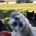 Roxanne Rudolph - Facebook