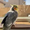 Roxanne.🤍. - @roxanne_ruiz - TikTok