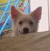 Rozanne Ruiz - Facebook