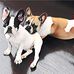 Roxanne Rushing Werchola - Facebook