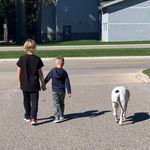 RoxAnne Twining-Russo - @twiningrusso - Instagram