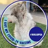 roxannerusso659 - @roxannerusso659 - TikTok
