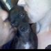 Roxanne Christy Rutledge - Facebook