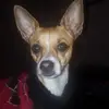 Roxanne Salazar - @roxannegalndosal - TikTok