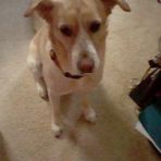 Roxanne Salisbury - Facebook