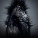 Roxanne Sampson - @the_name_roxxy - Instagram