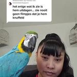 Roxanne Samson - @roxannesamson3 - Instagram