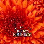 Roxanne Cc Saunders - @roxanne.saunders.587 - Instagram