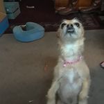 Roxanne Saunders Roberts - @saundersroberts - Instagram