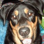 Roxy Schaaf - Facebook