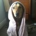 Roxy Schofield - Facebook