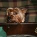 Roxy Schrader - Facebook