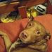 Roxanne Sellars - Facebook