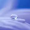 Roxanne Spearman - @roxannespearman - TikTok