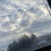 Roxanne Squires - Facebook