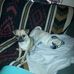 Roxanne Steinhoff - Facebook