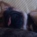 Roxanne Steinhoff - Facebook