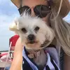 Roxanne - @roxanne.armstrong - TikTok