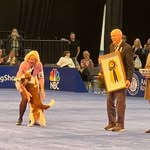 Jessy and Roxanne Sutton Dog Handlers - @jes_rox_sutton_pro_doghandlers - Instagram