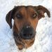 Roxanne Sutton - Facebook