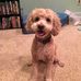 Roxanne Tracey - Facebook