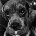 Roxy Whiteman - Facebook