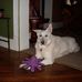 Roxanne Whiting - Facebook