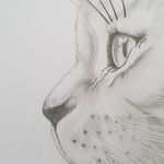 @red.roxie_bloom - Instagram