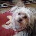 Roxie Carter - Facebook