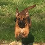 Roxie Cook - @roxiered_11 - Instagram